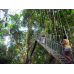 3D2N Free & Easy National Park (Taman Negara) Ex-Jerantut