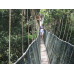 3D2N Full Board National Park (Taman Negara) Ex-Jerantut