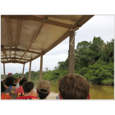 4D3N Full Board National Park (Taman Negara) Ex-KL