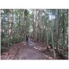 4D3N Full Board National Park Ex-Jerantut for Matta Fair only