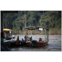 2D1N Full Board National Park (Taman Negara) Ex-KL