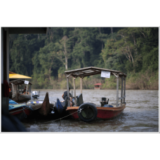 2D1N Full Board National Park (Taman Negara) Ex-KL