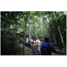 2D1N Full Board National Park (Taman Negara) Ex-Jerantut