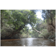 3D2N Taman Negara Ex-Kuala Tahan for Matta Fair only