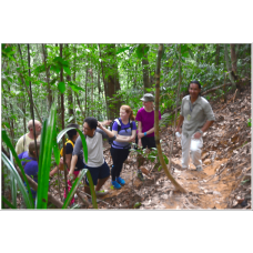 3D2N Luxury National Park (Taman Negara) Ex-Jerantut