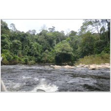 3D2N Free & Easy National Park (Taman Negara) Ex-Jerantut