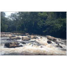 3D2N Free & Easy National Park (Taman Negara) Ex-KL