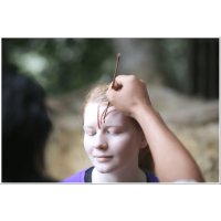 3D2N Full Board National Park (Taman Negara) Ex-Jerantut