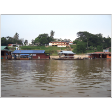 Full Day Tour National Park (Taman Negara) Ex-KL